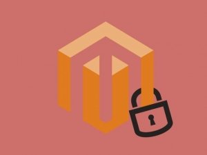 Securing Magmi - goodbye complicated coding, hello auto authentication