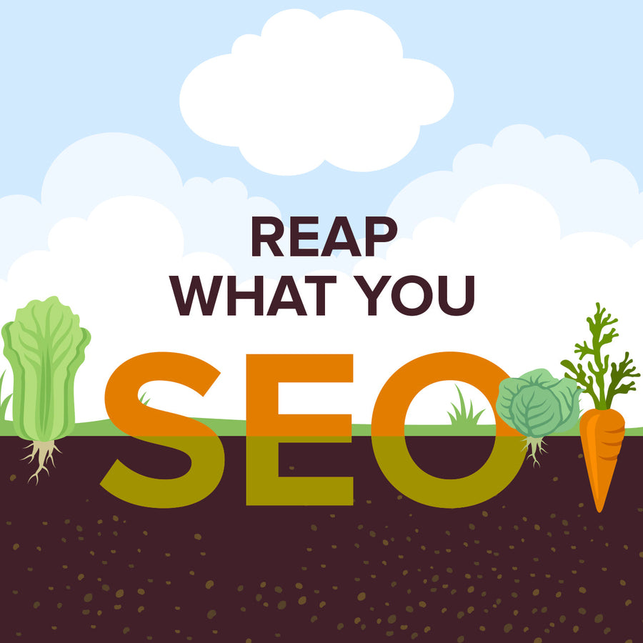 The role of SEO in eCommerce: A Shopify Plus perspective