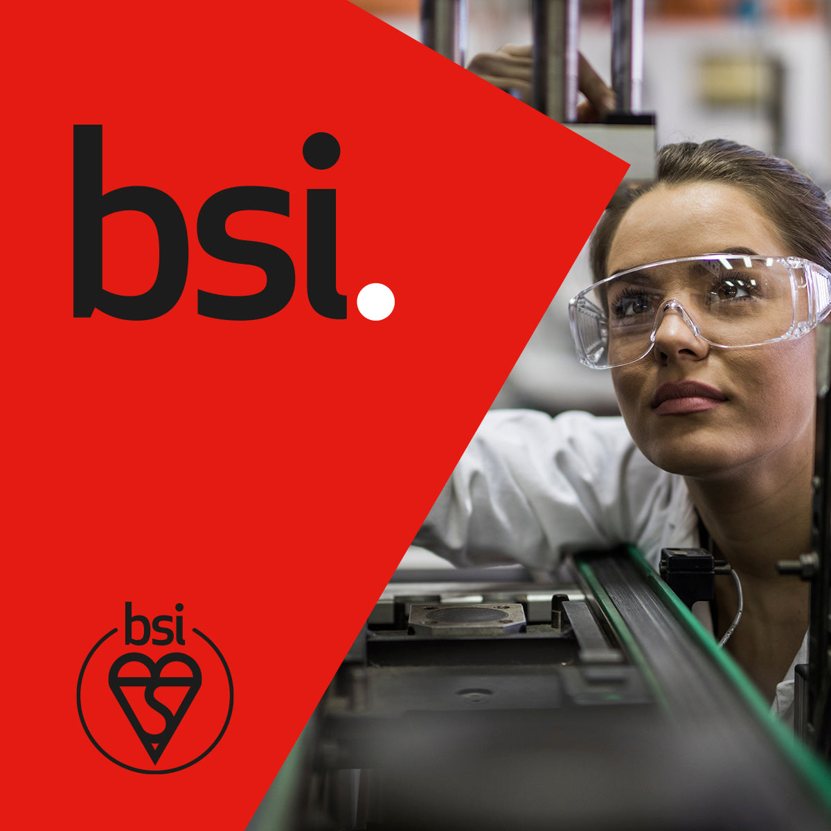 BSI Group