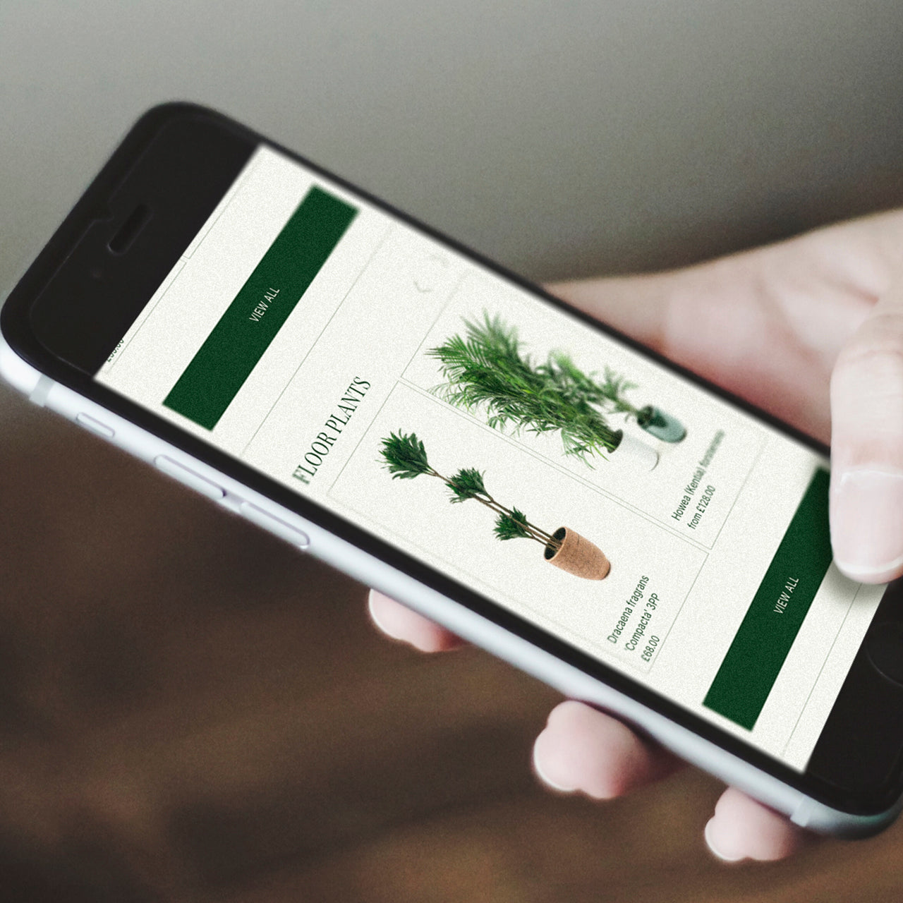 Conservatory Archives website redesign