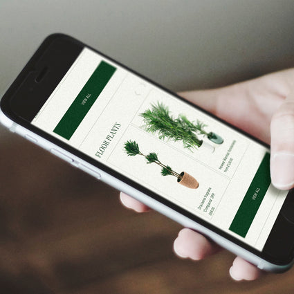 Conservatory Archives website redesign