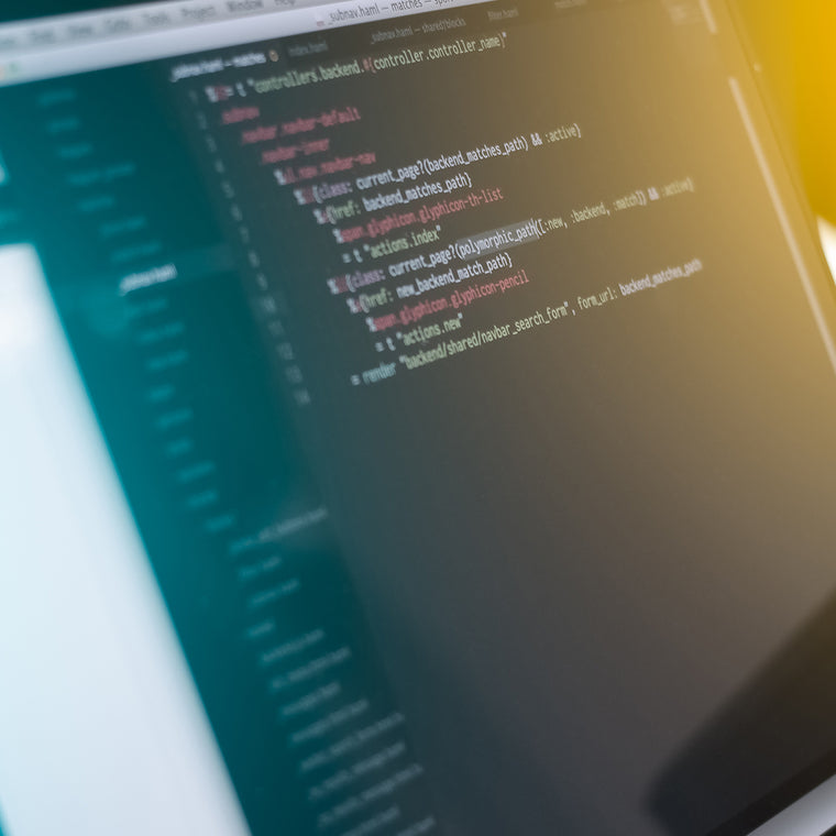B2B-Magento-Development-Header