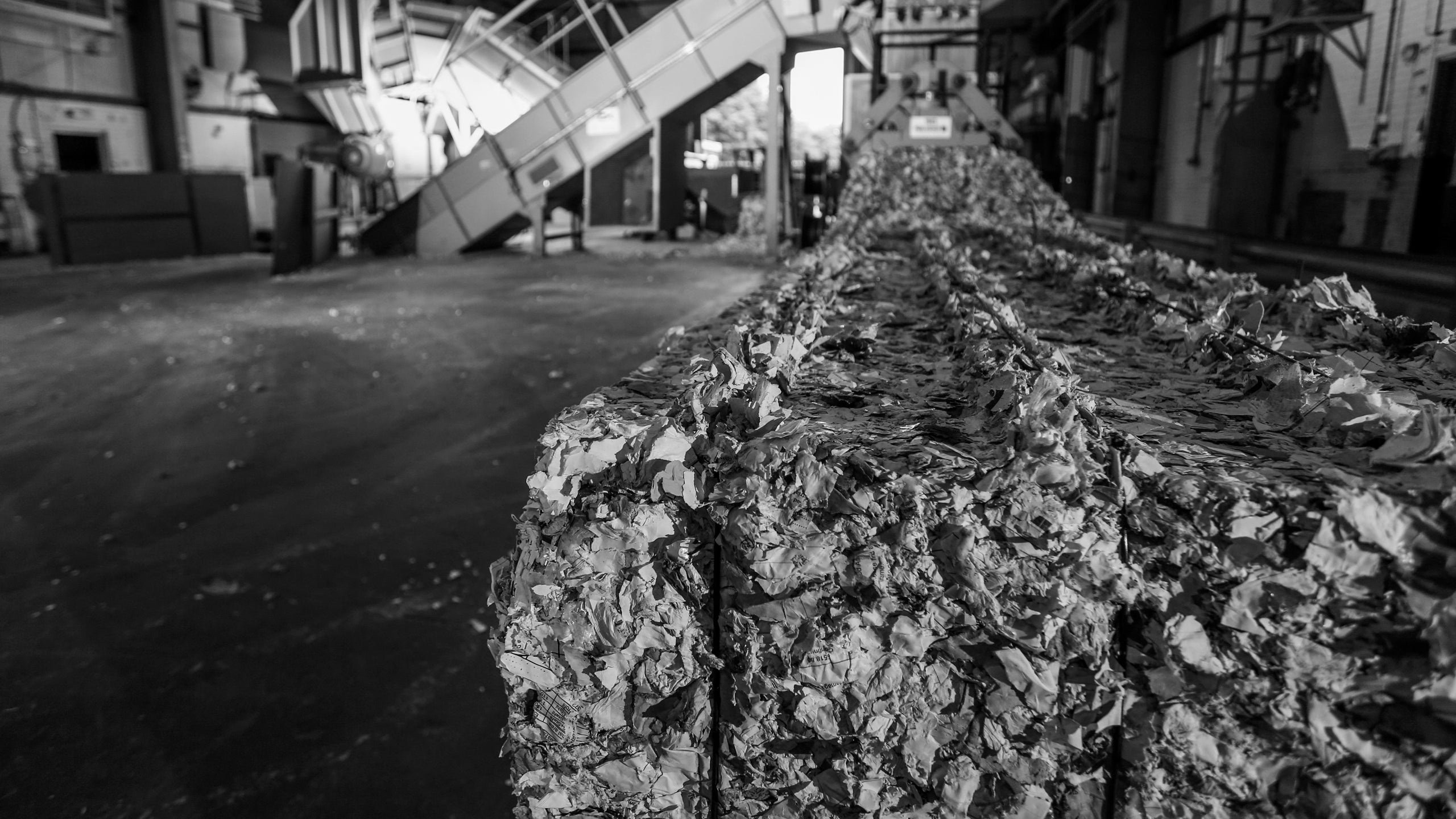 Shredall-Full-Width-Image 4
